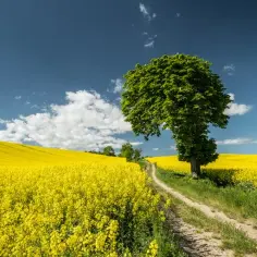Co kształtuje klimat w Europie? Kluczowe czynniki, które musisz znać