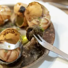 Pyszne escargot, czyli ślimaki w skorupkach, przygotowane z czosnkiem i ziołami, są wyciągane widelczykiem.