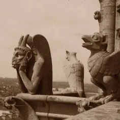 Kamienne stwory, w tym zamyślony gargulec Notre Dame, czuwają nad Paryżem.