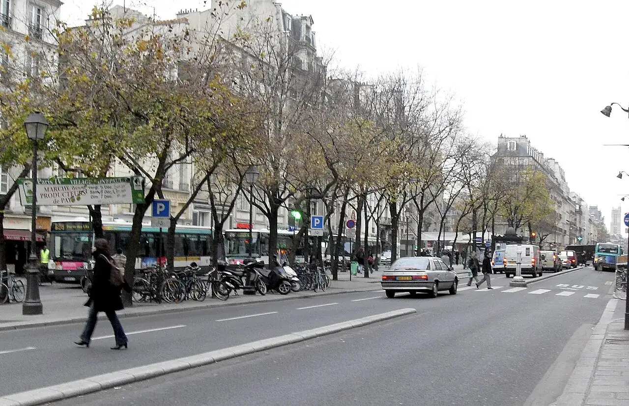 Ulica w paryskiej dzielnicy Le Marais, z drzewami, autobusami i samochodami.